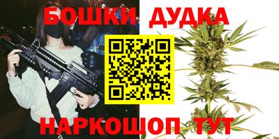 гашик Дубна