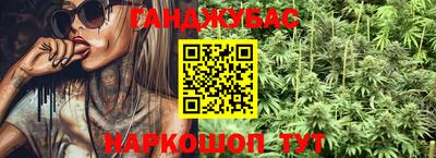 гашик Дубна