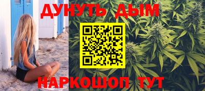 гашик Дубна