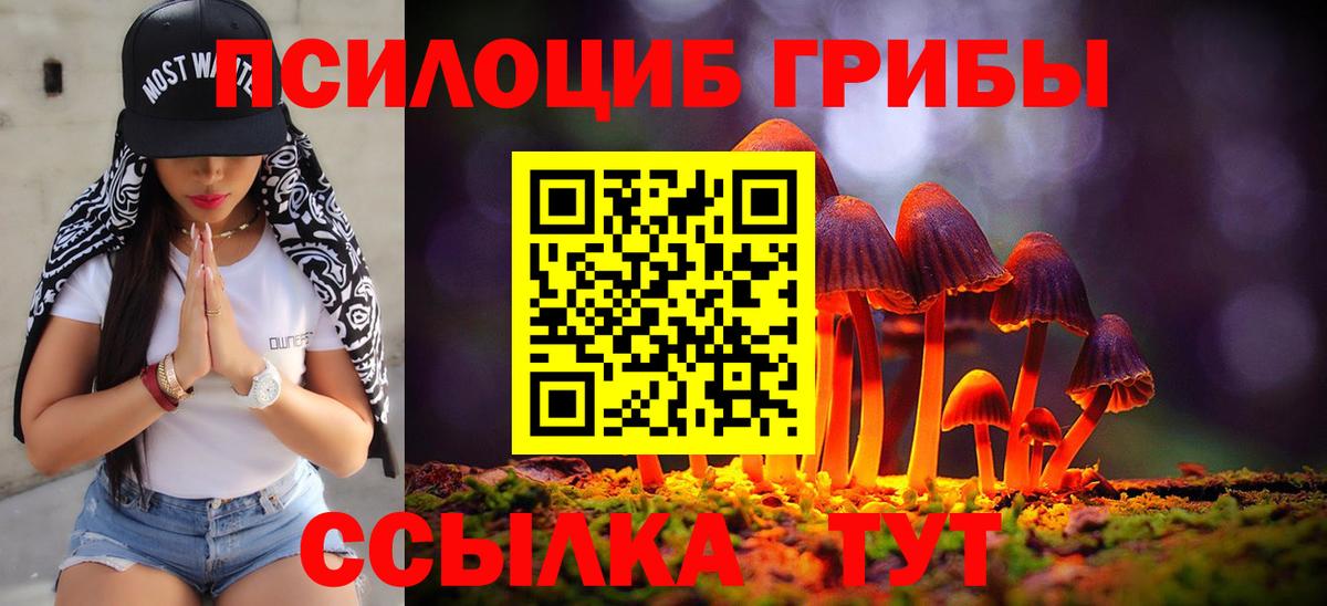Галлюциногенные грибы ЛСД  Псилоцибиновые грибы GOLDEN TEACHER  Вход с VPN  купить наркотики цена  Луховицы 
