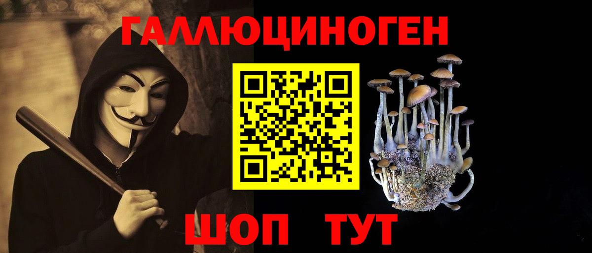 Псилоцибиновые грибы GOLDEN TEACHER Луховицы